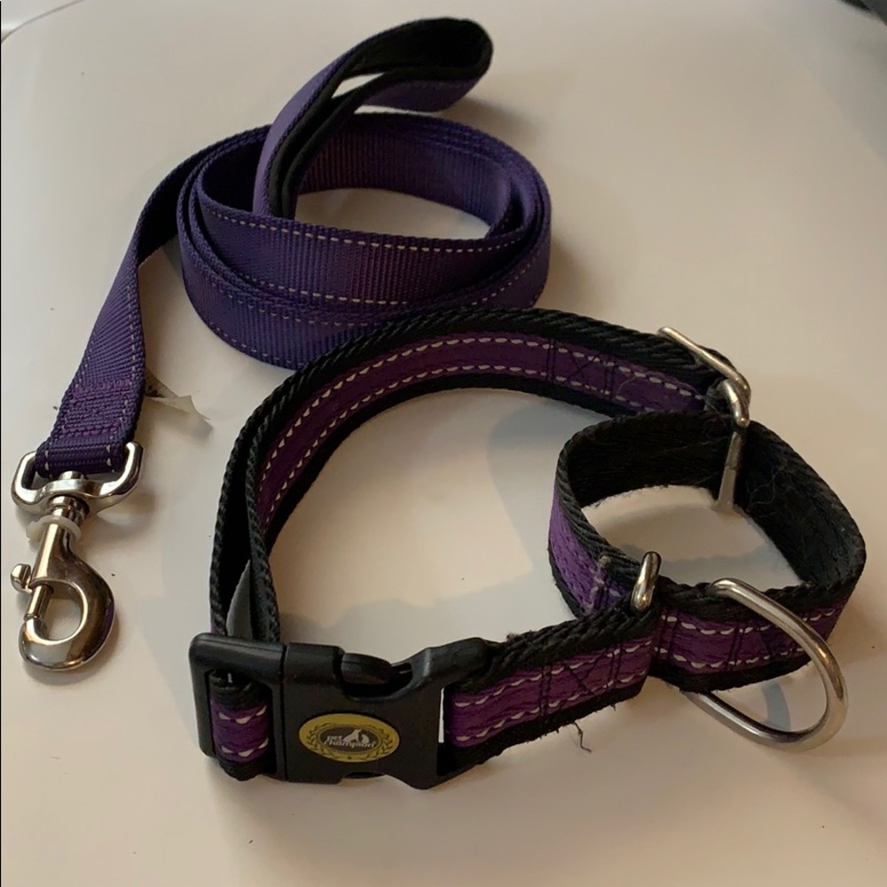 6’ Leash and Large Dog Collar